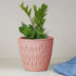 Conical Pink Carved Ceramic Planter - The Earth Store - Planter